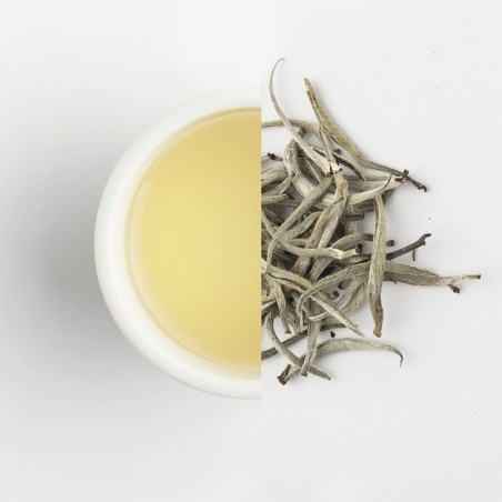 Té Blanco