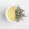 Té Blanco